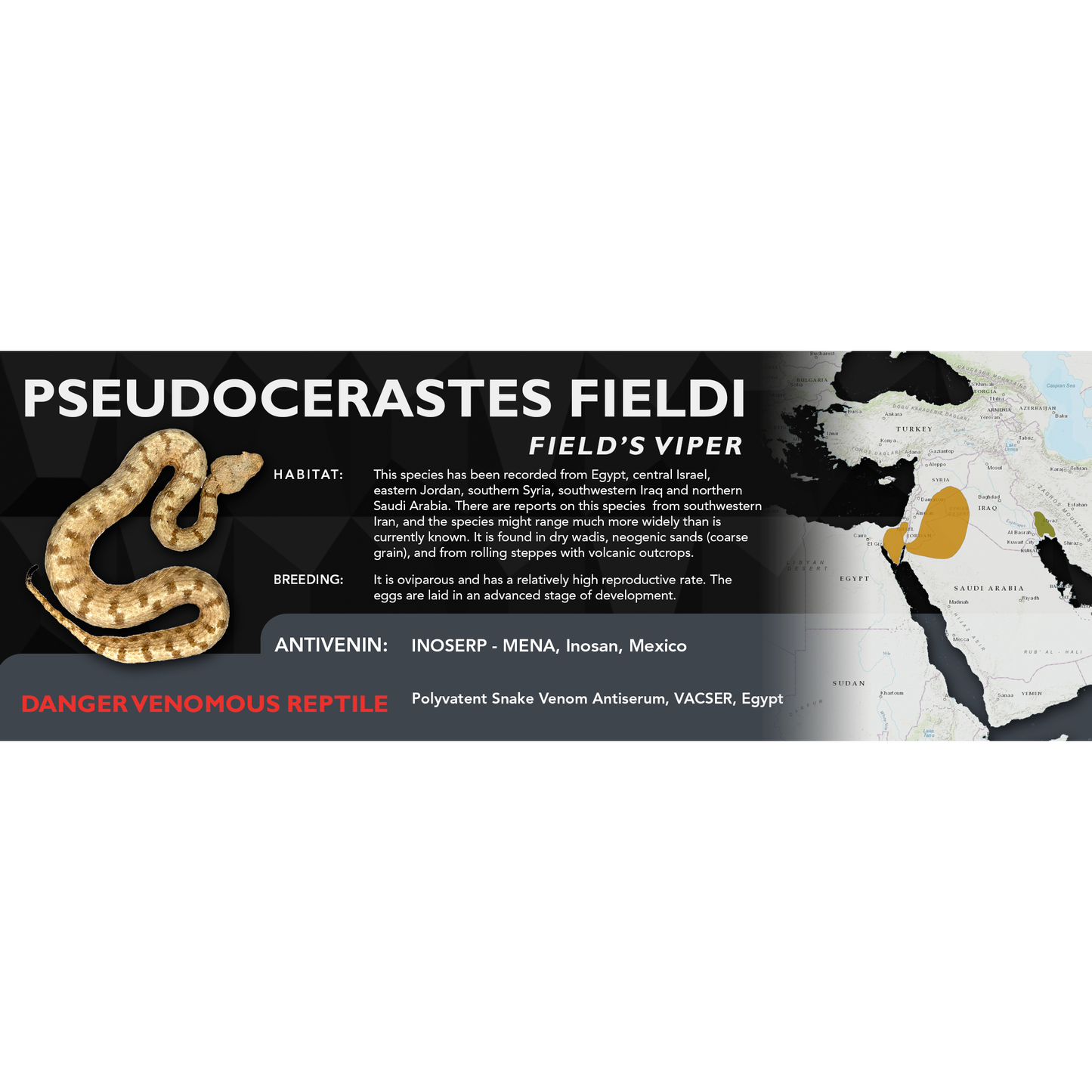 Field's Viper (Pseudocerastes fieldi) Classic Vivarium Label