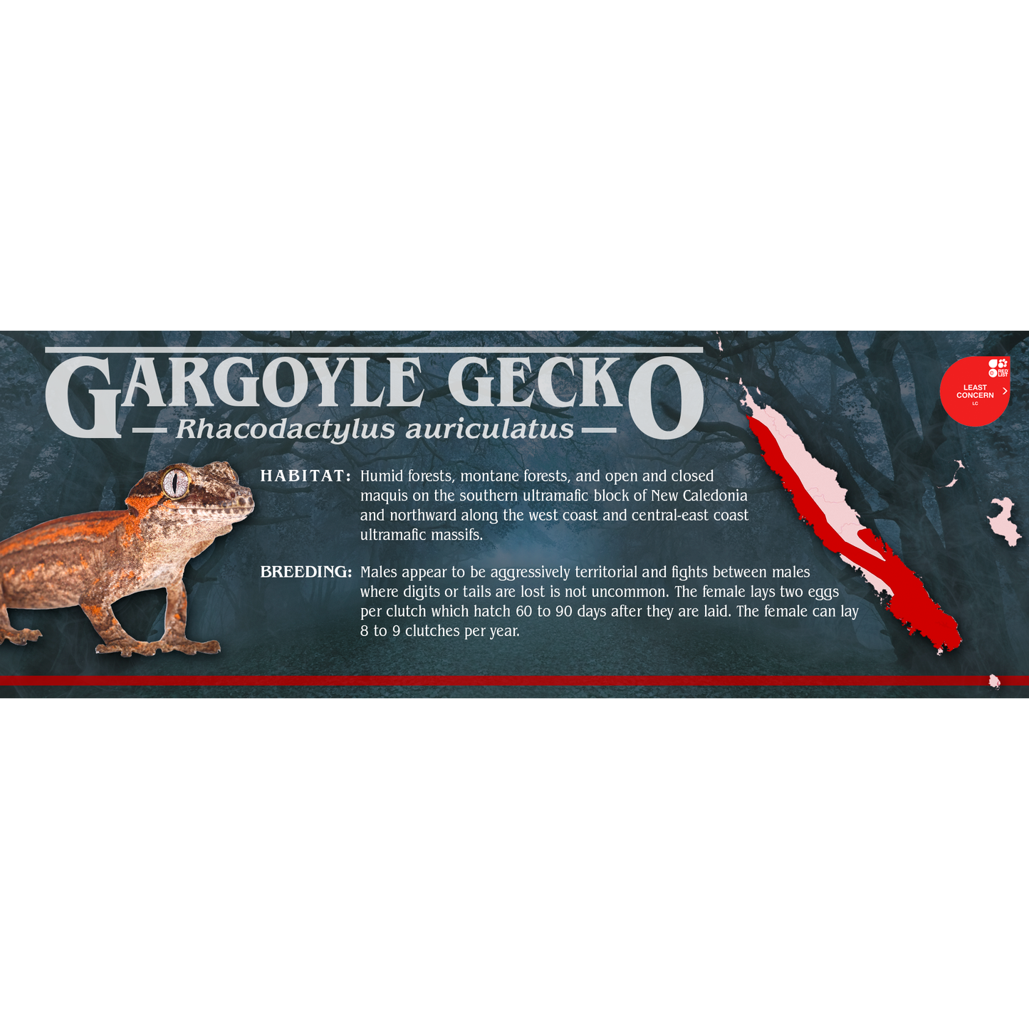 Stranger Species Special Edition Halloween Vivarium Label