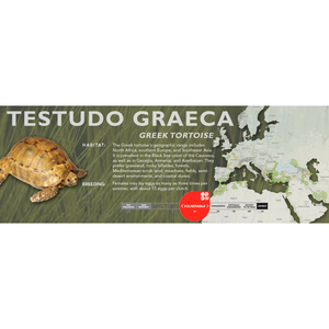 Greek Tortoise (Testudo graeca) - Standard Vivarium Label