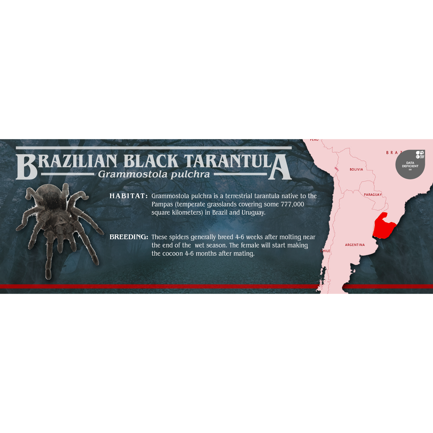 Stranger Species Special Edition Halloween Vivarium Label