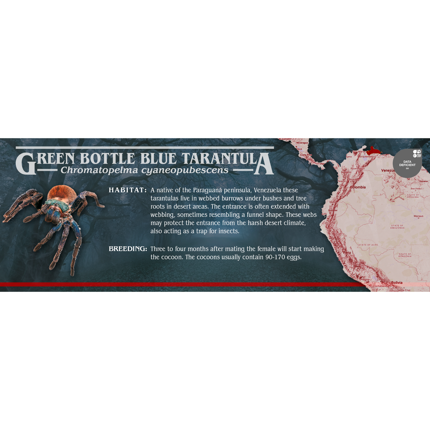Stranger Species Special Edition Halloween Vivarium Label