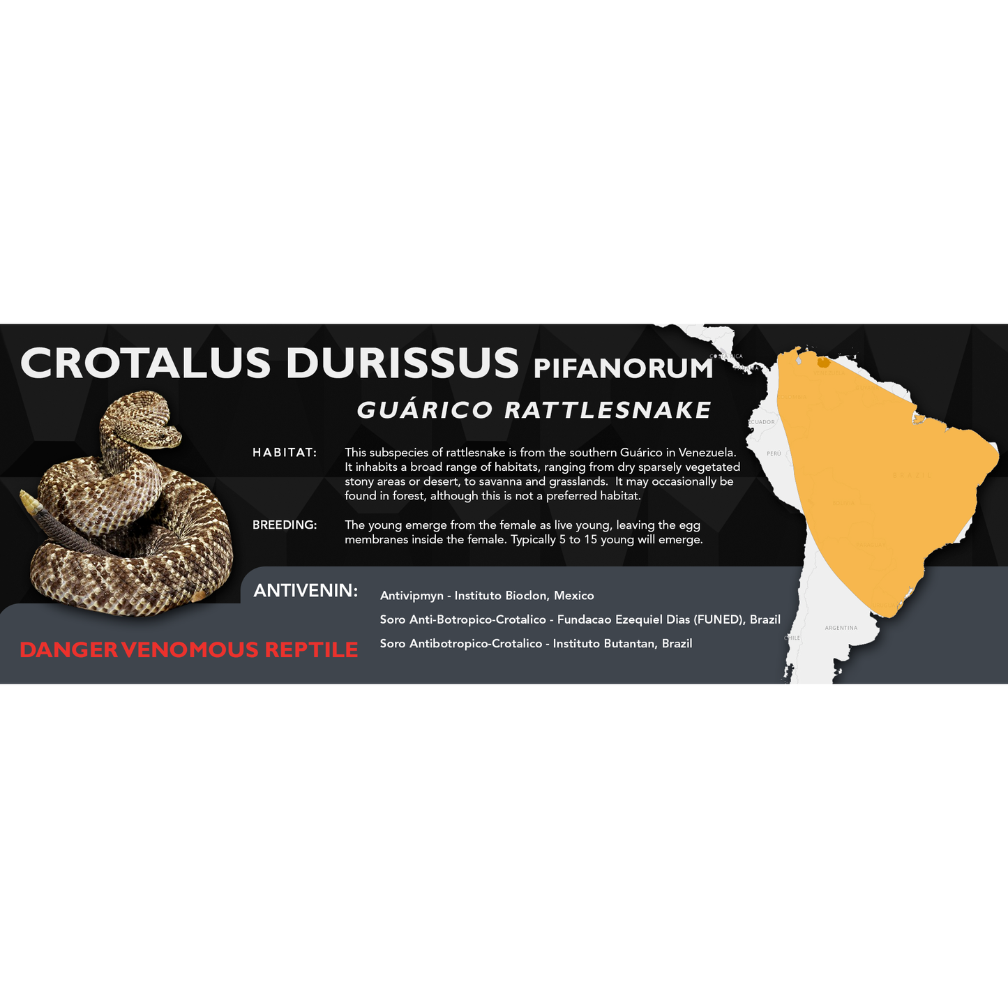 Cascabel Rattlesnake (Crotalus durissus) Classic Vivarium Label
