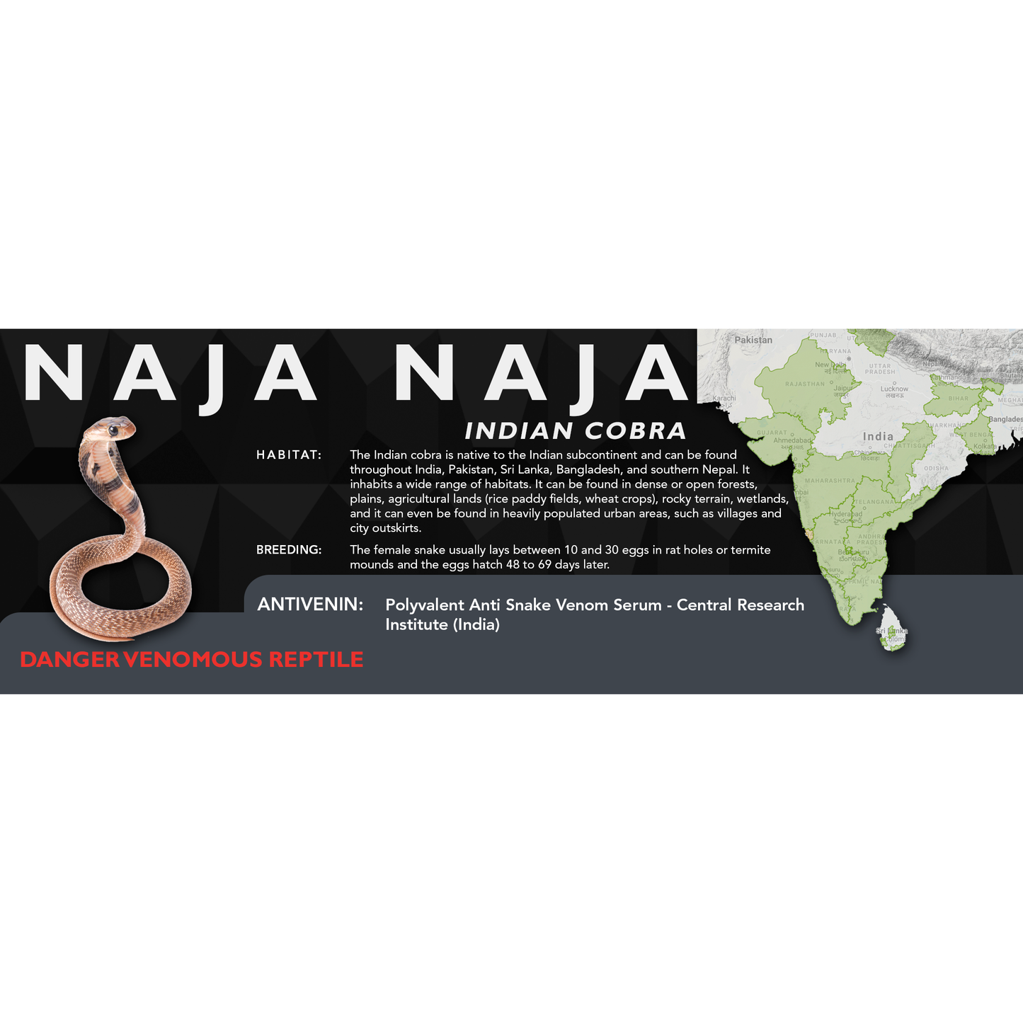 Indian Cobra (Naja naja) Classic Vivarium Label