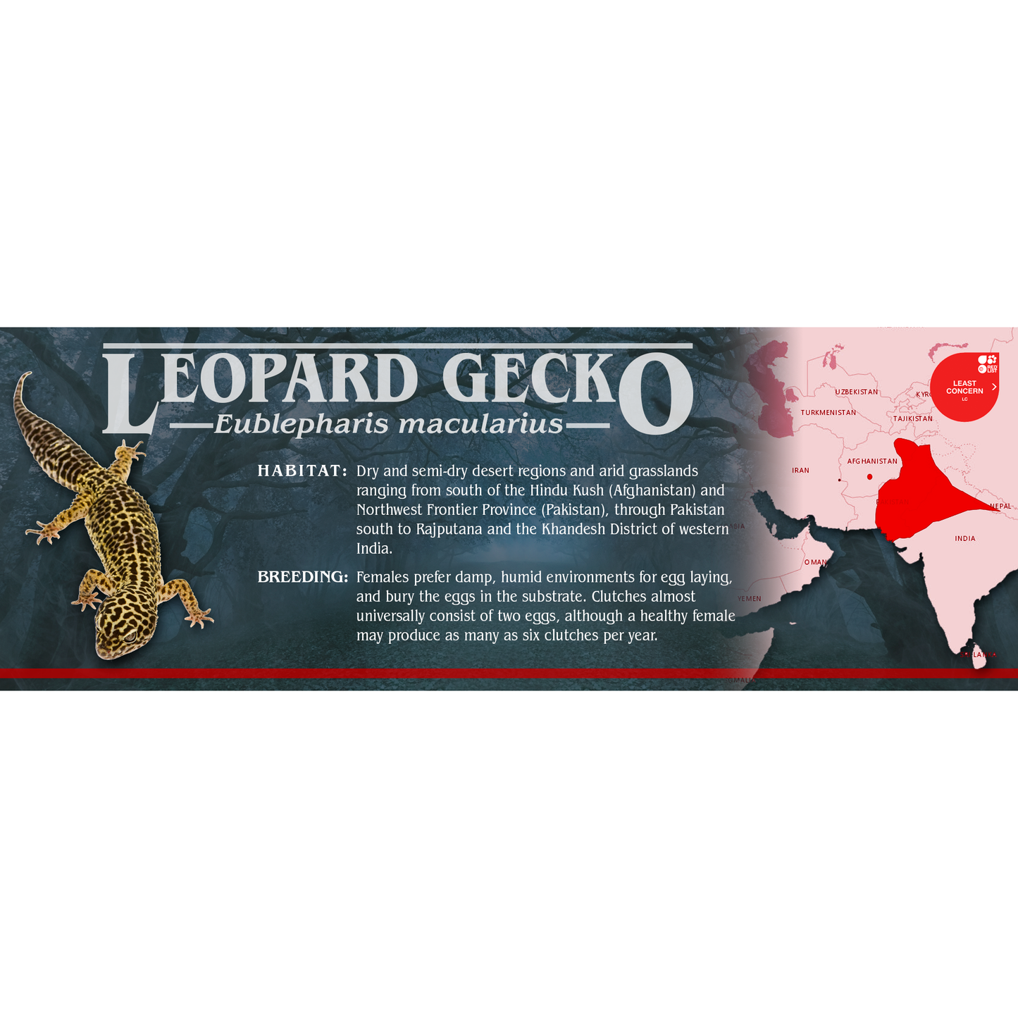 Stranger Species Special Edition Halloween Vivarium Label