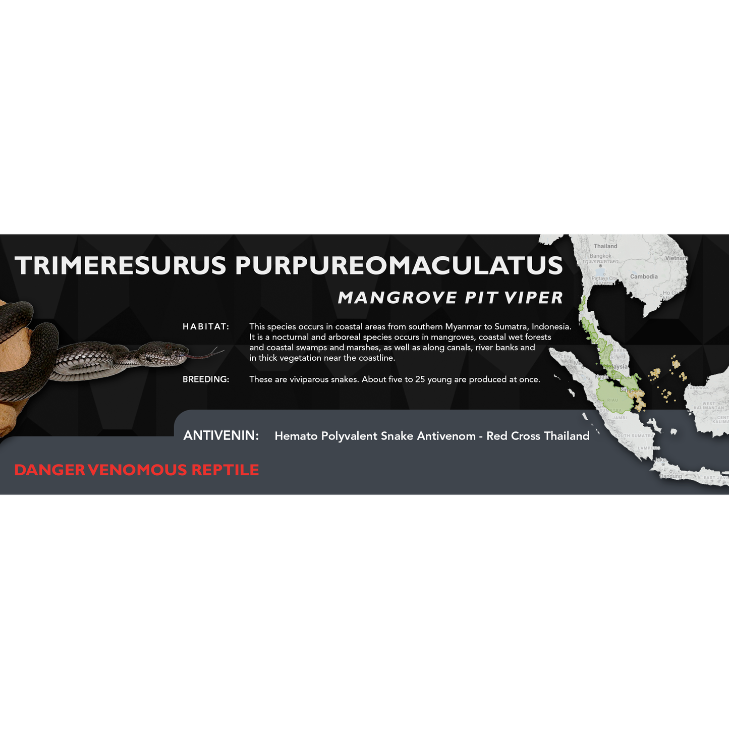 Mangrove Pit Viper (Trimeresurus purpureomaculatus) Classic Vivarium Label
