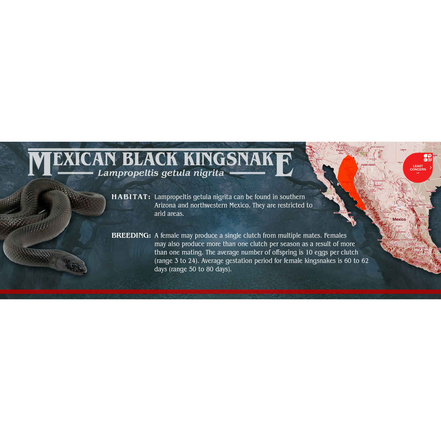 Stranger Species Special Edition Halloween Vivarium Label