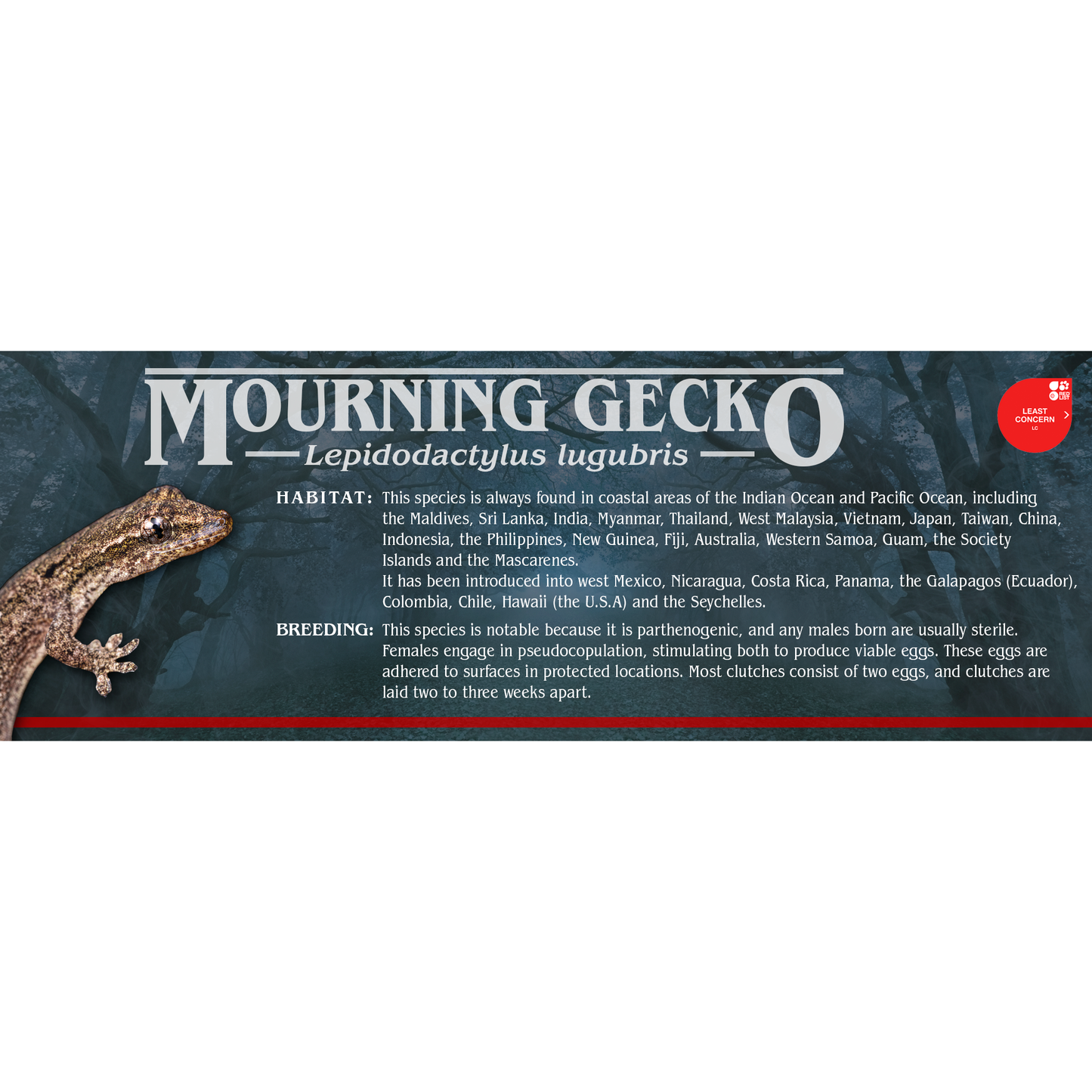 Stranger Species Special Edition Halloween Vivarium Label