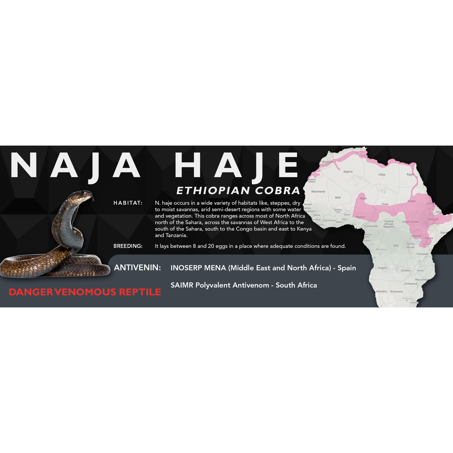 Egyptian Cobra (Naja haje) Classic Vivarium Label