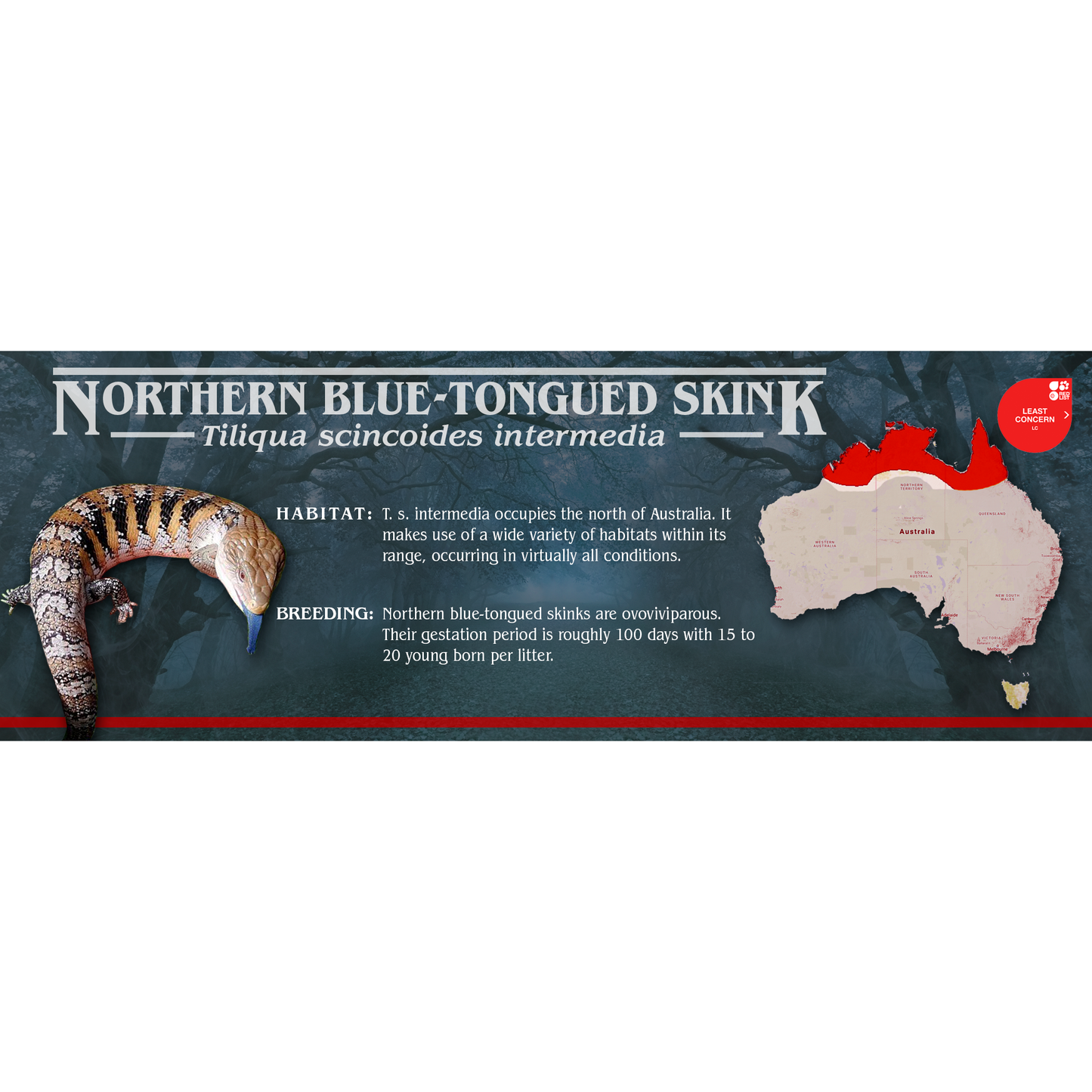 Stranger Species Special Edition Halloween Vivarium Label
