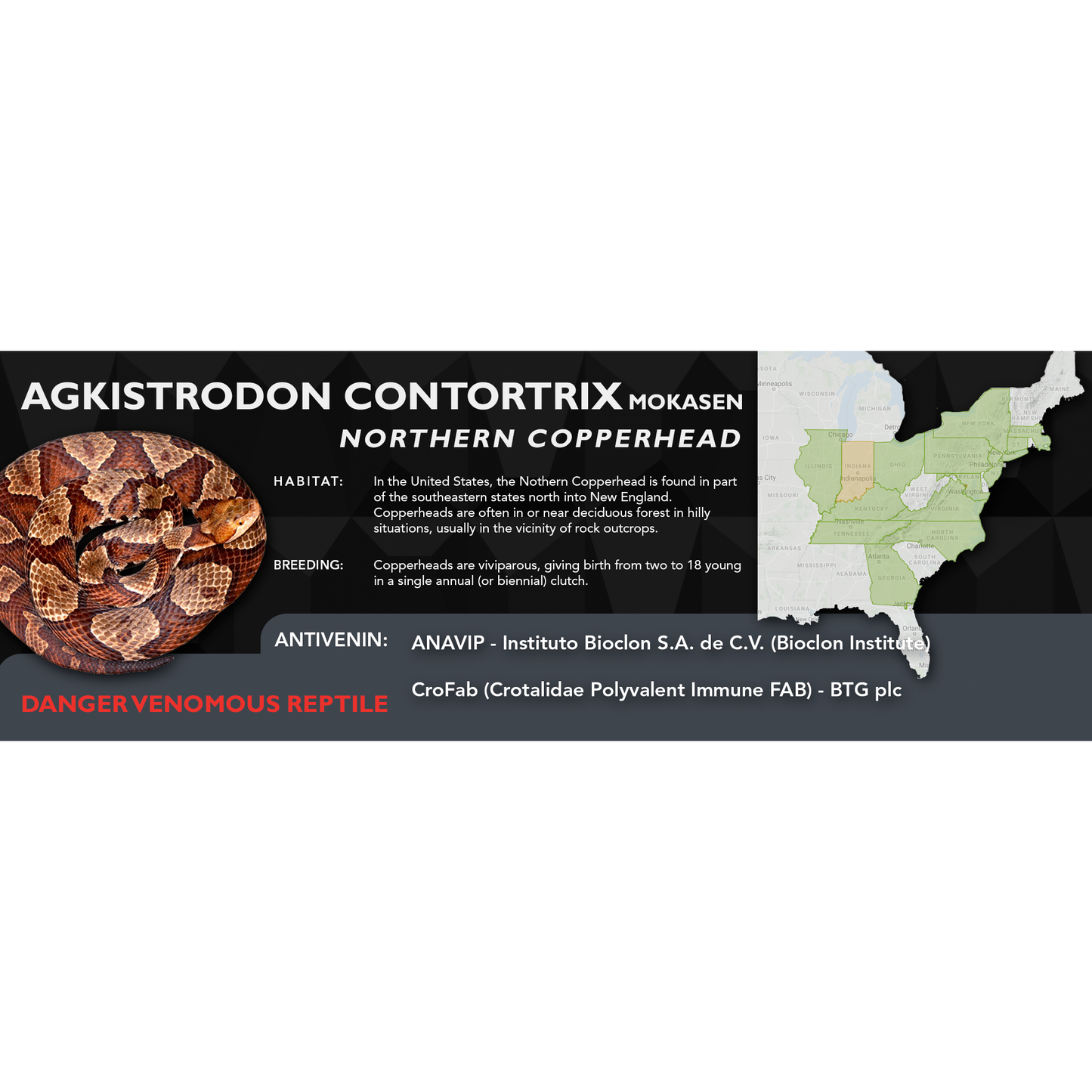 Copperhead (Agkistrodon contortrix) Classic Vivarium Label