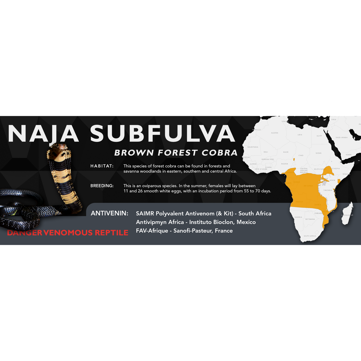 Brown Forest Cobra (Naja subfulva) Classic Vivarium Label