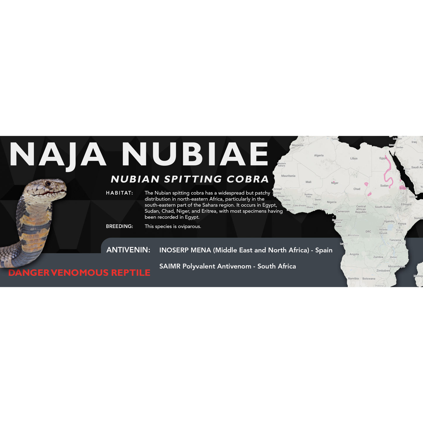 Nubian Spitting Cobra (Naja nubiae) Classic Vivarium Label