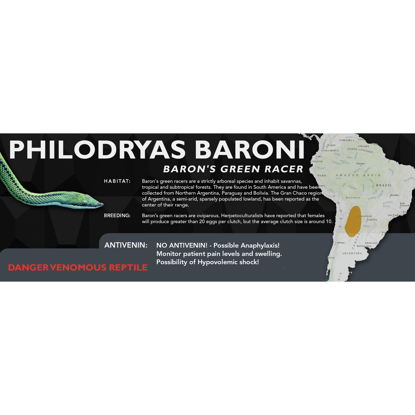 Baron's Green Racer (Philodryas baroni) Classic Vivarium Label