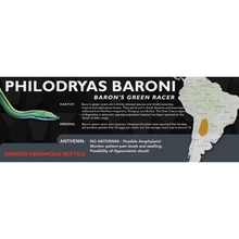 Load image into Gallery viewer, Baron&#39;s Green Racer (Philodryas baroni) Standard Vivarium Label