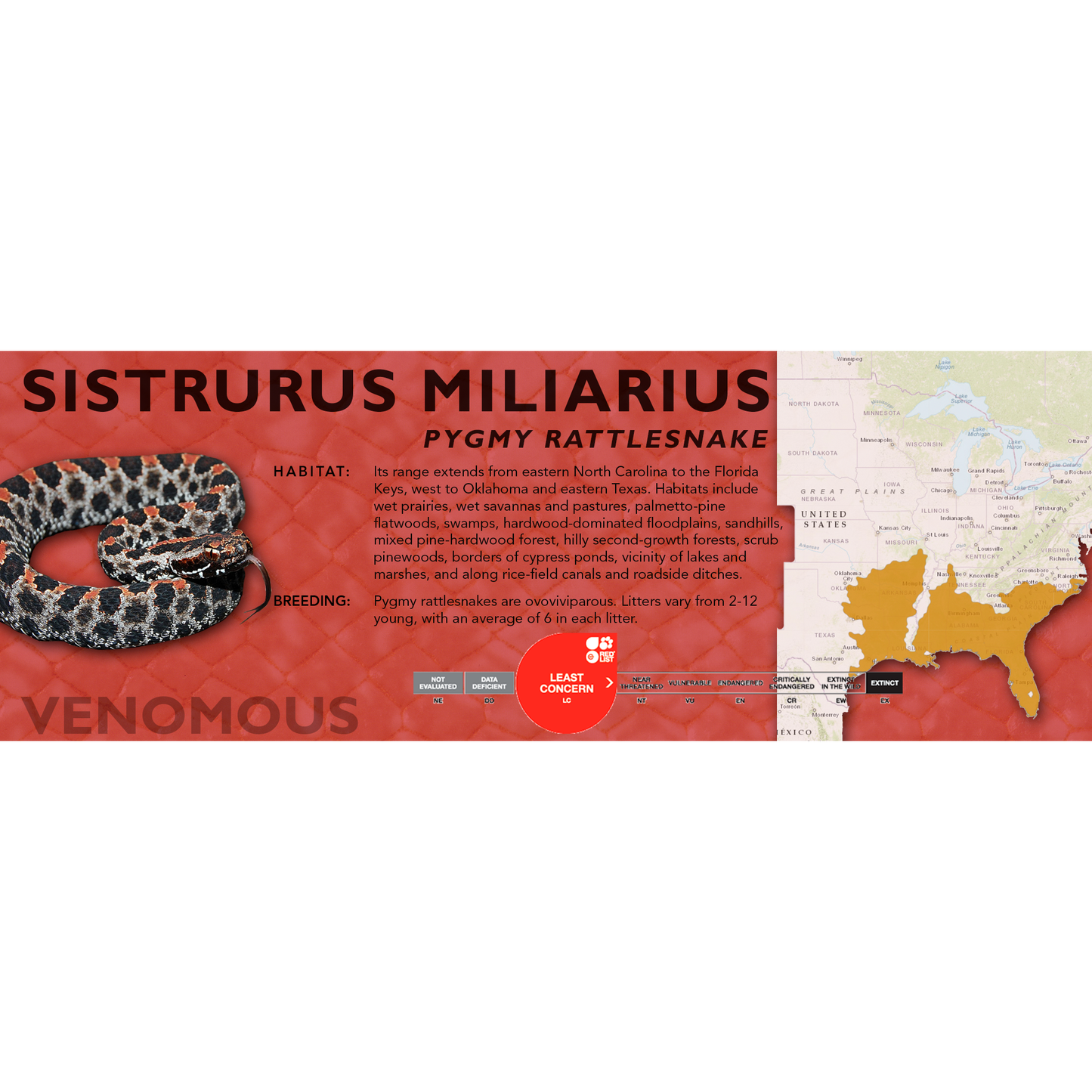 Pygmy Rattlesnake (Sistrurus miliarius) Classic Vivarium Label