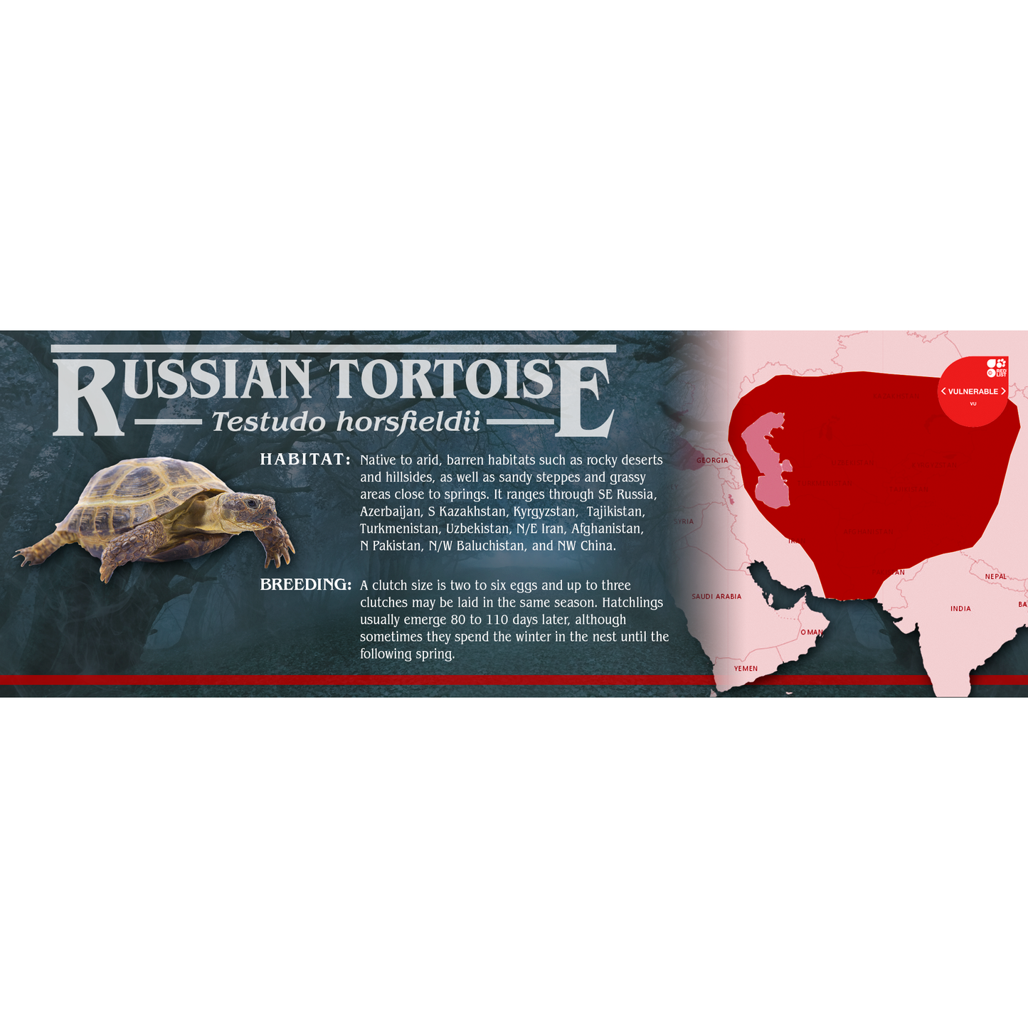 Stranger Species Special Edition Halloween Vivarium Label