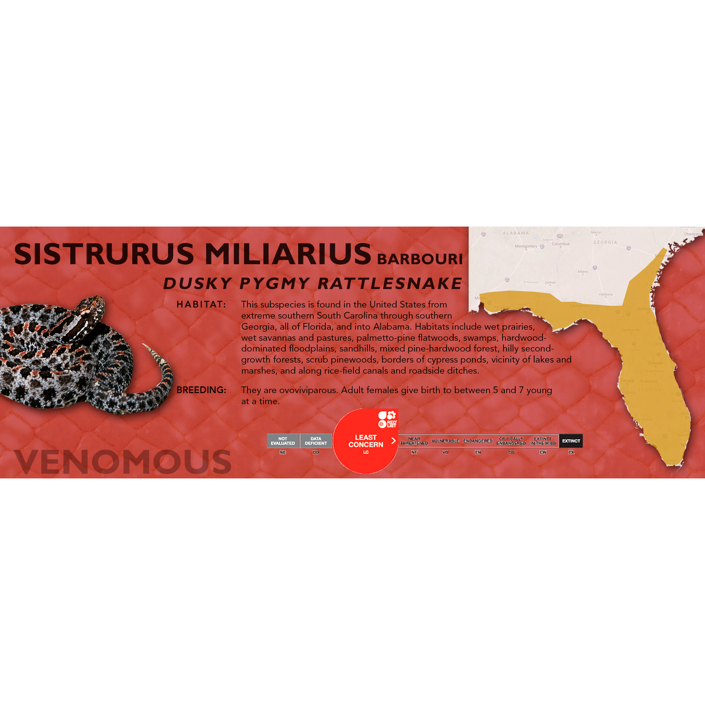 Pygmy Rattlesnake (Sistrurus miliarius) Classic Vivarium Label