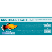 Load image into Gallery viewer, Southern Platyfish (Xiphophorus maculatus) - Standard Aquarium Label
