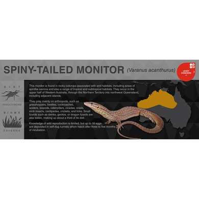 Spiny-Tailed Monitor (Varanus acanthurus) - Black Series Vivarium Label