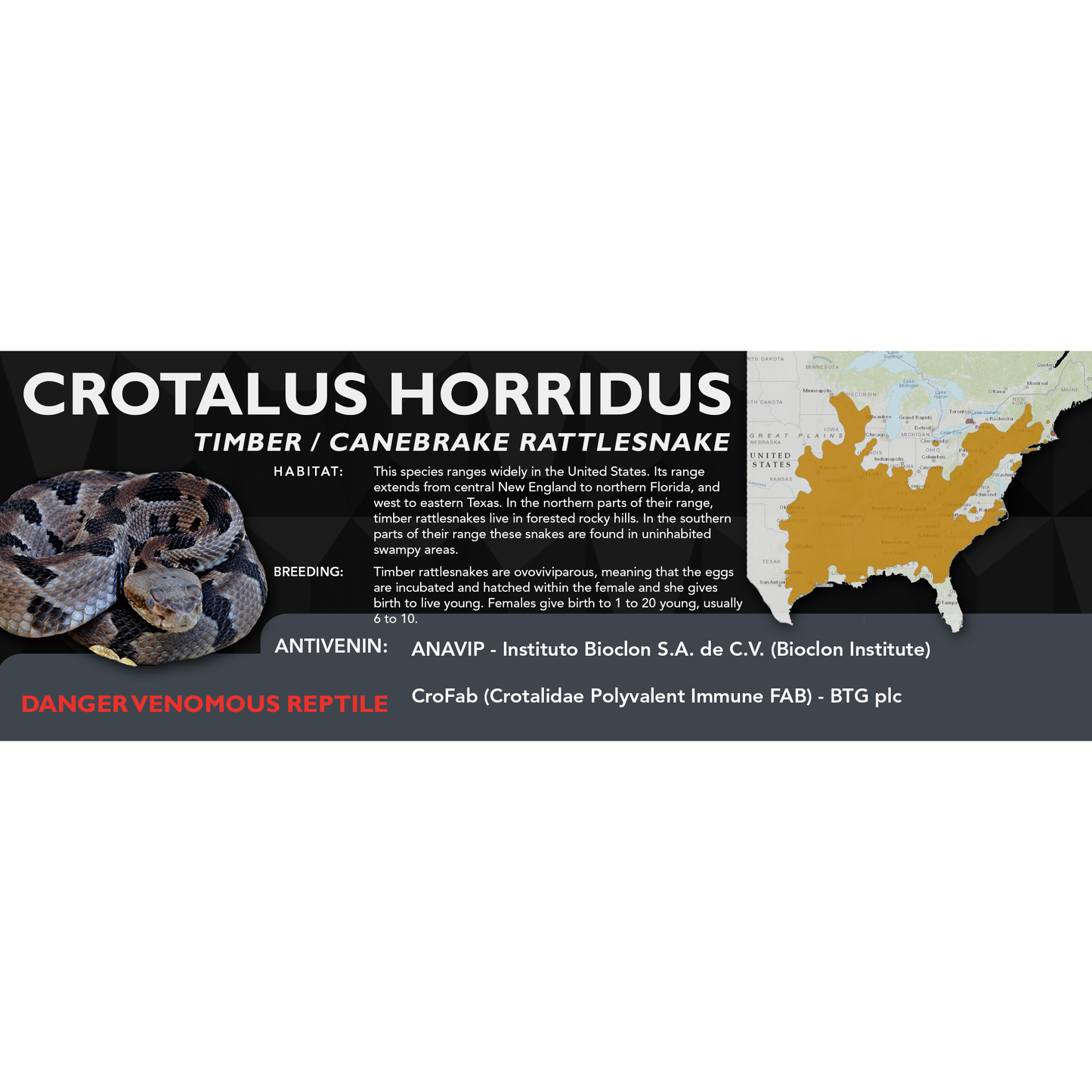 Timber / Canebrake Rattlesnake (Crotalus horridus) Classic Vivarium Label