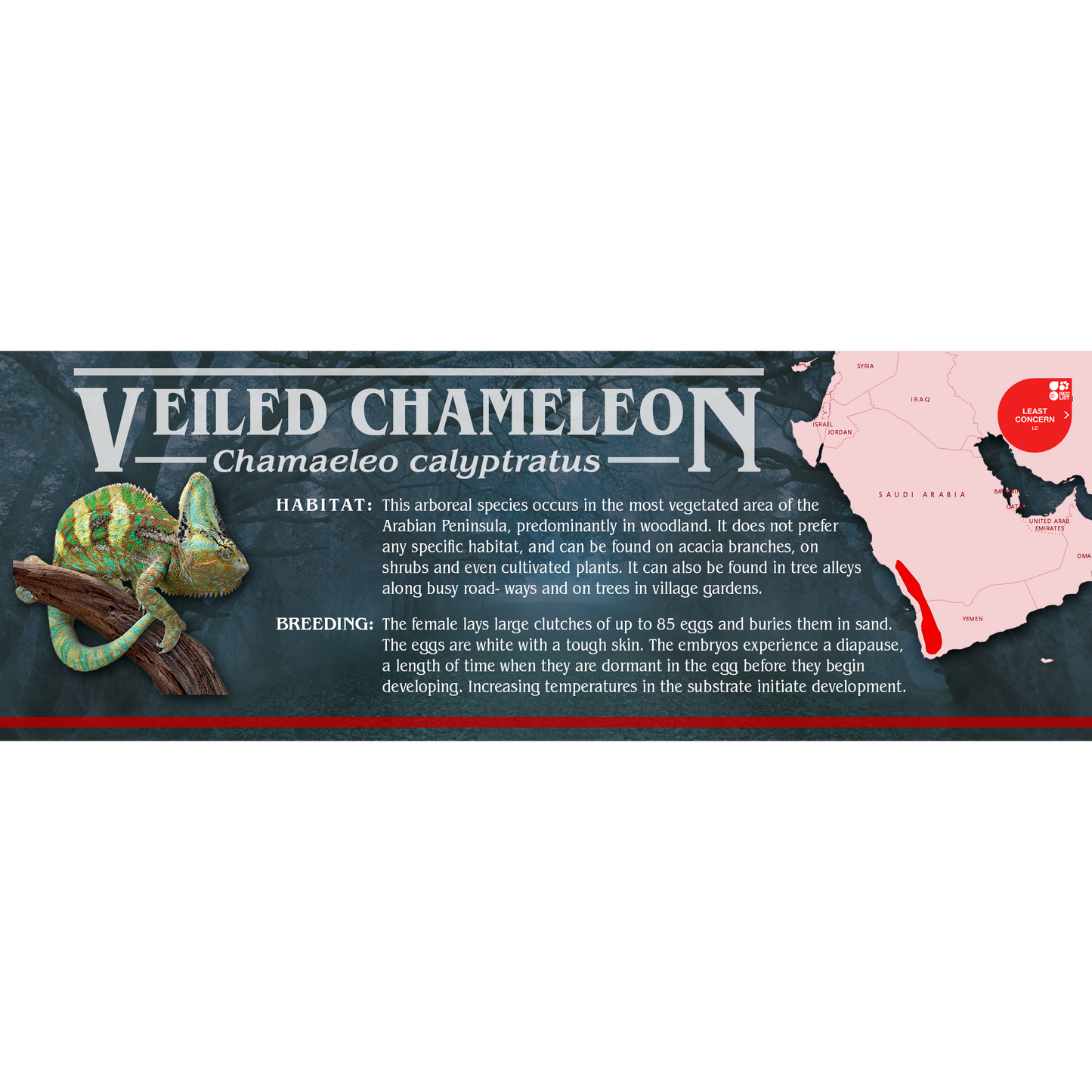 Stranger Species Special Edition Halloween Vivarium Label