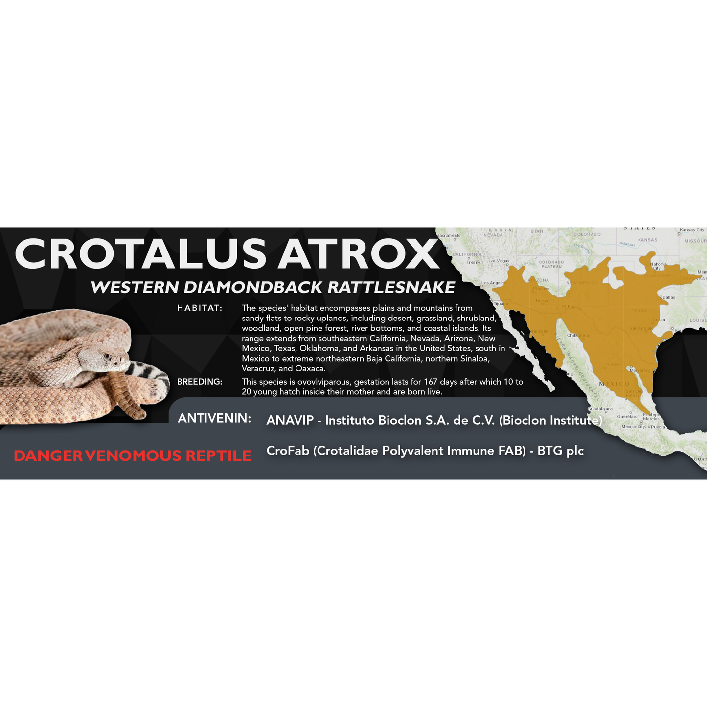 Western Diamondback Rattlesnake (Crotalus atrox) Classic Vivarium Label