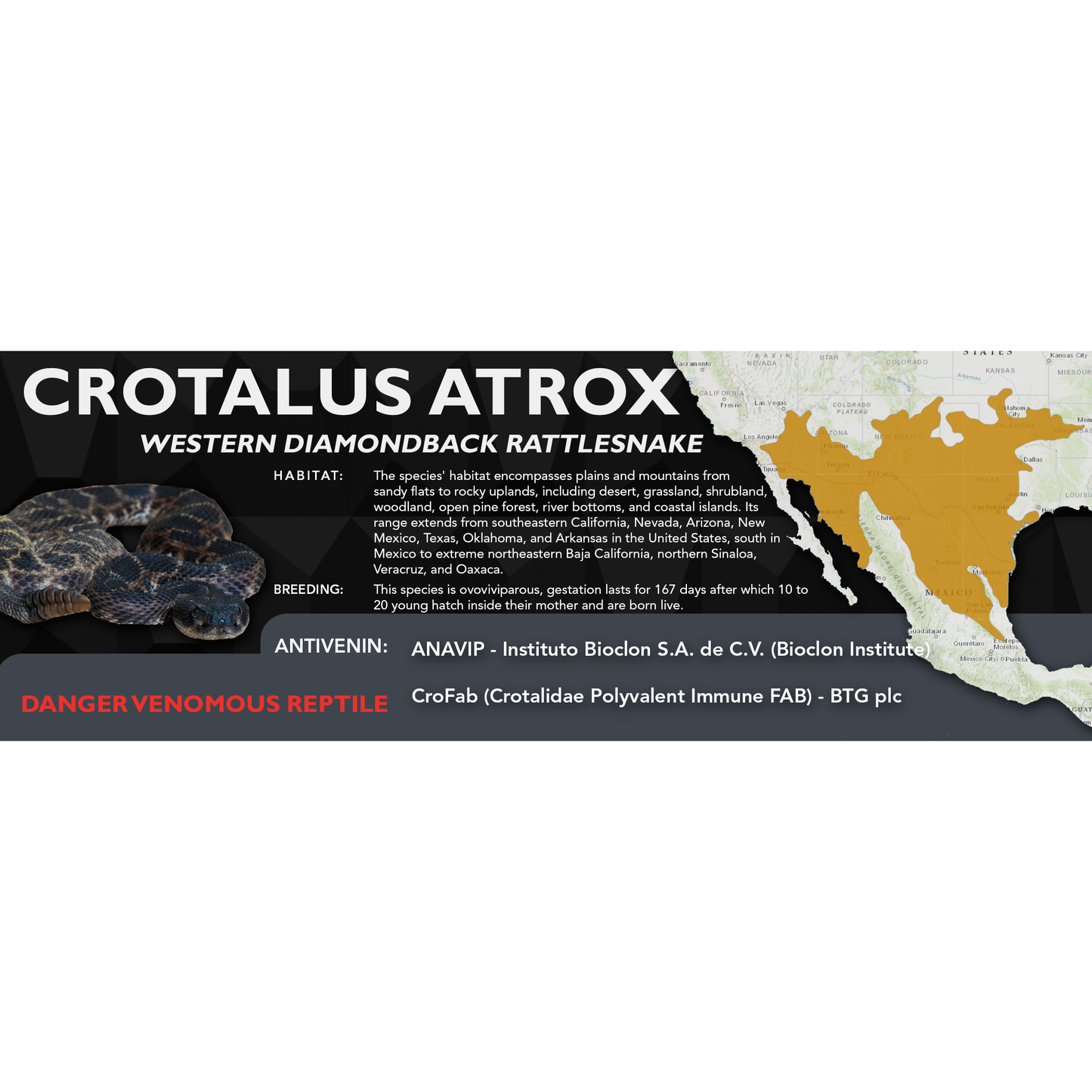 Western Diamondback Rattlesnake (Crotalus atrox) Classic Vivarium Label