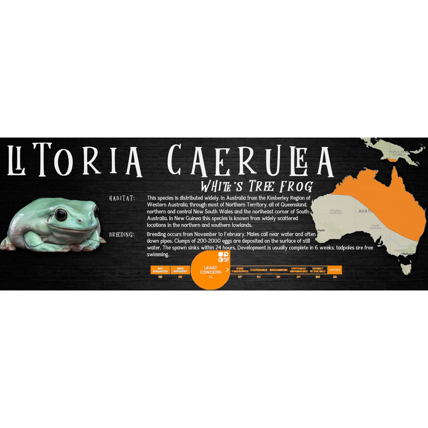 Special Edition Halloween Vivarium Label