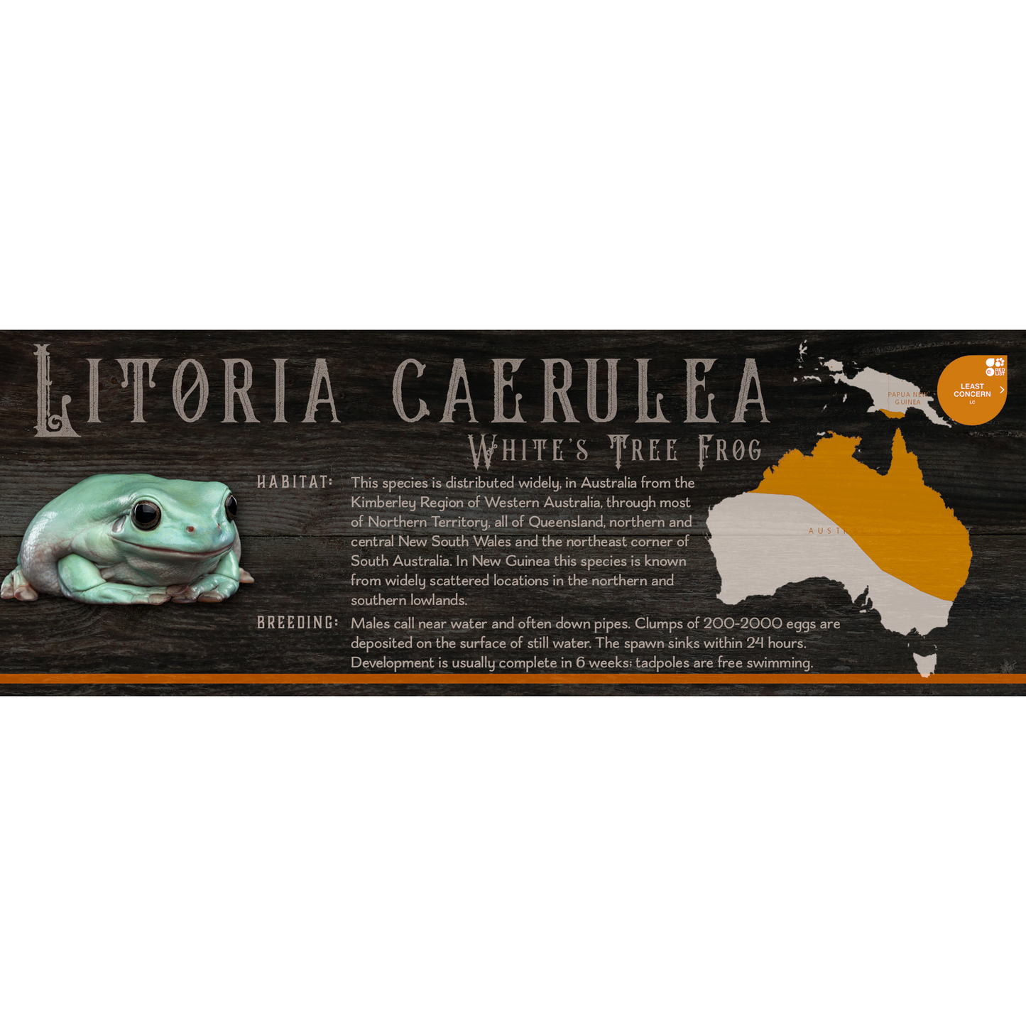 Special Edition Halloween Vivarium Label