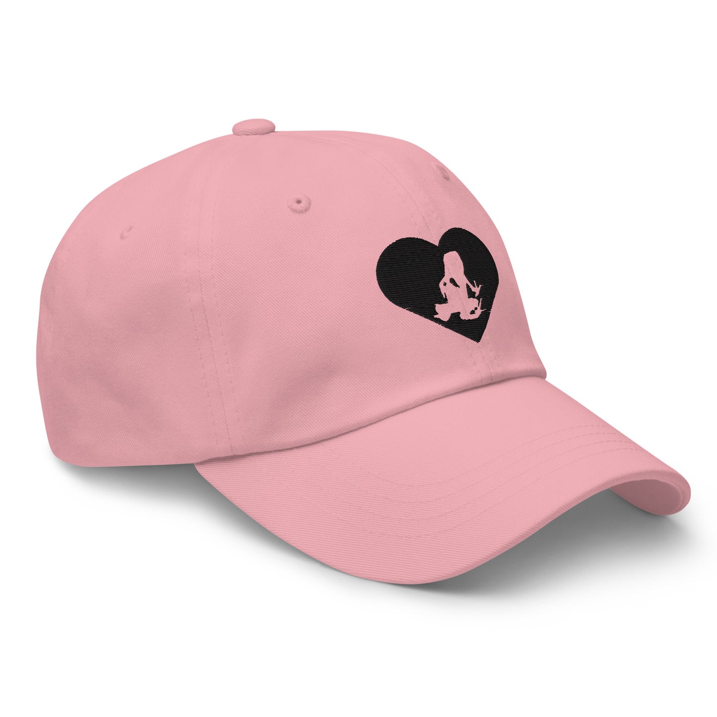 Transporting Dart Frog Hart Dad Hat