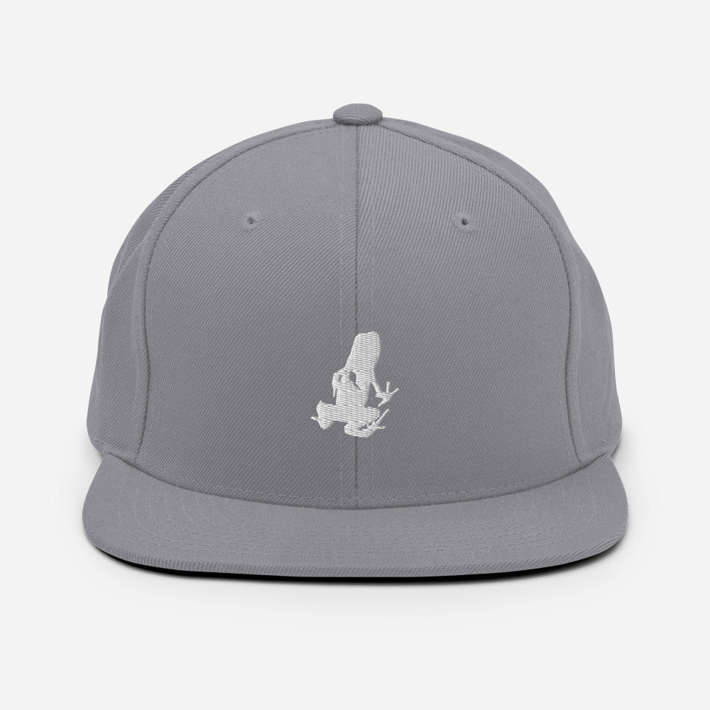 Dart Frog Transport Snapback Hat