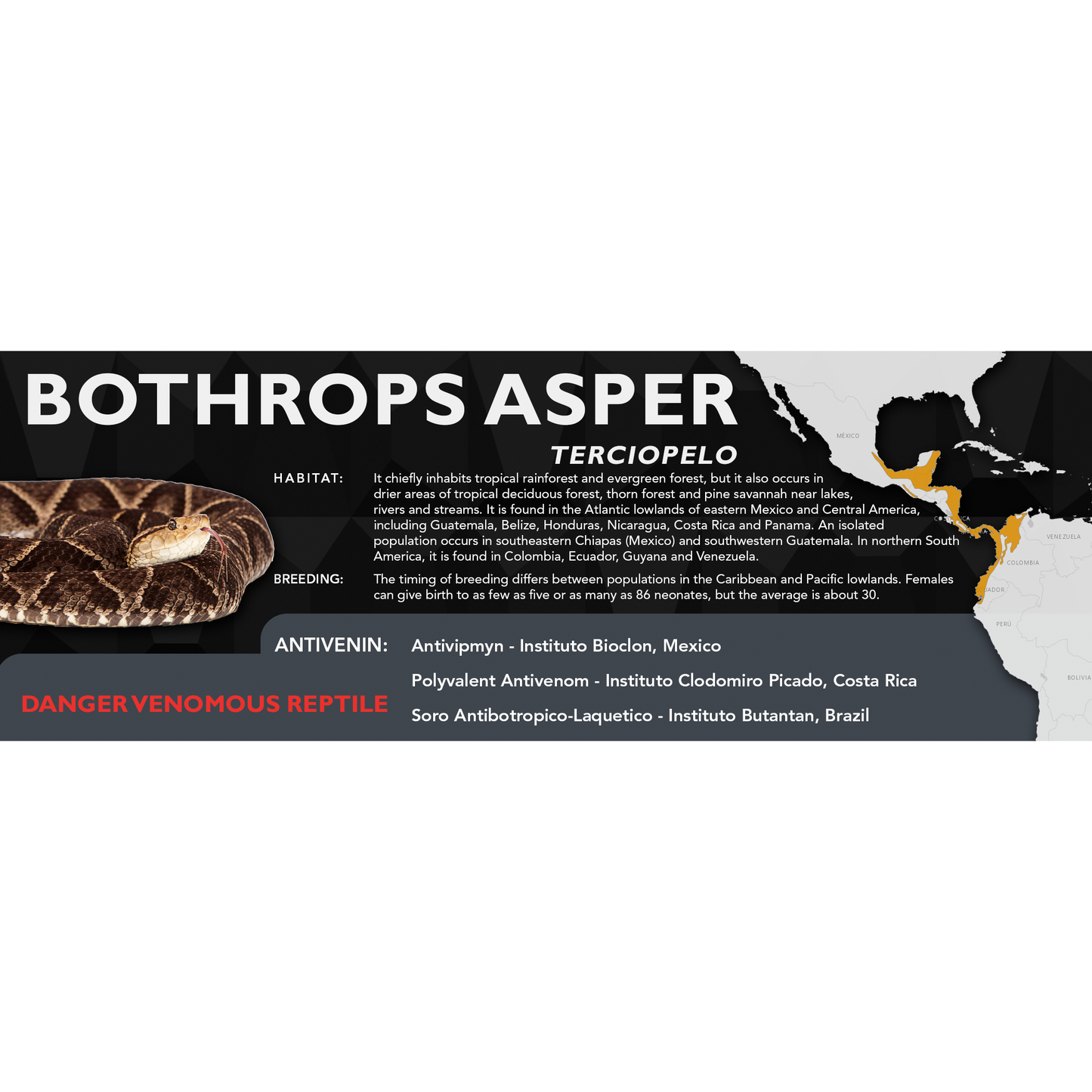 Terciopelo (Bothrops asper) Standard Vivarium Label