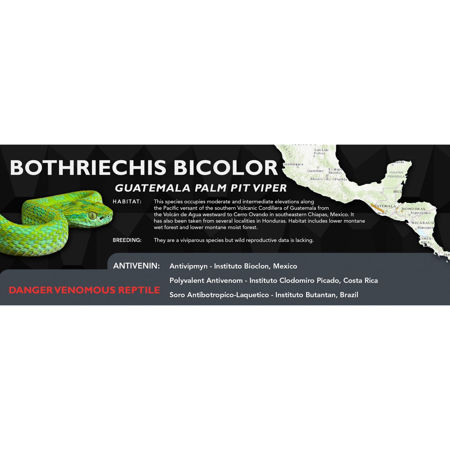 Guatemala Palm Pit Viper (Bothriechis bicolor) Standard Vivarium Label