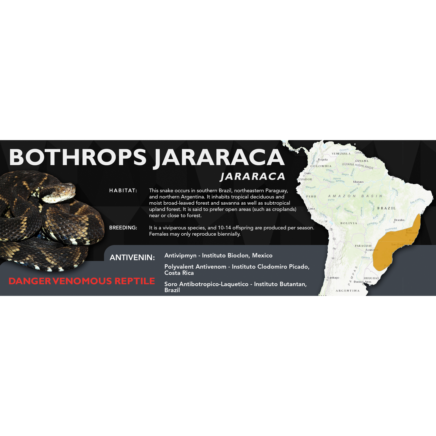 Jararaca (Bothrops jararaca) Standard Vivarium Label