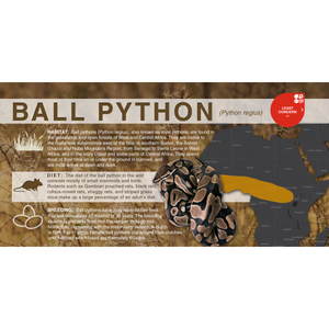 Ball Python (Python regius) - Aluminum Sign