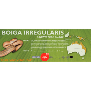 Brown Tree Snake (Boiga irregularis) Standard Vivarium Label