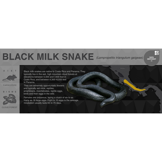 Black Milk Snake (Lampropeltis triangulum gaigeae) - Black Series Vivarium Label