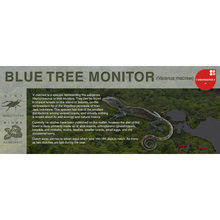 Load image into Gallery viewer, Blue Tree Monitor (Varanus macraei) - Black Series Vivarium Label