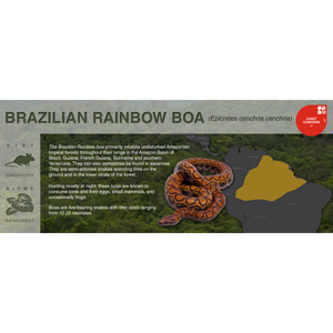 Brazilian Rainbow Boa (Epicrates cenchria cenchria) - Black Series Vivarium Label