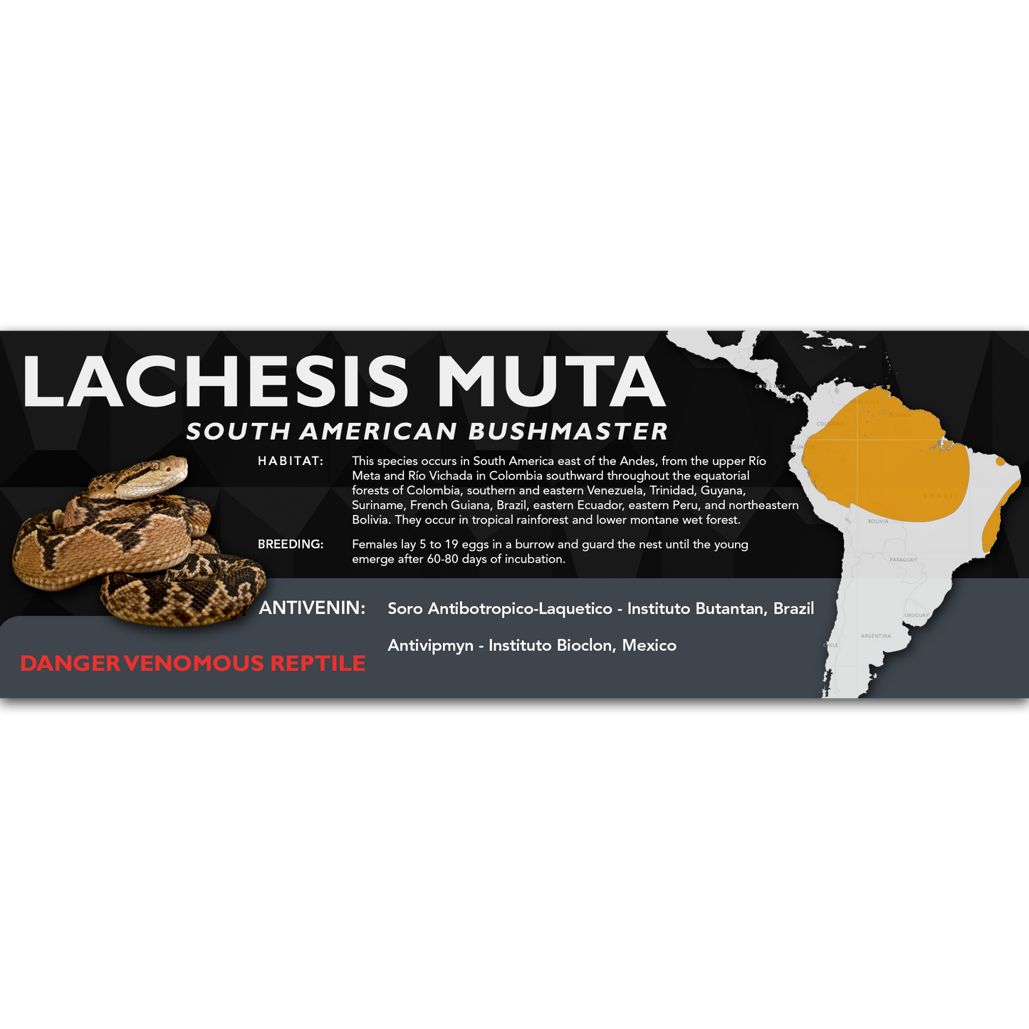 South American Bushmaster (Lachesis muta) Classic Vivarium Label