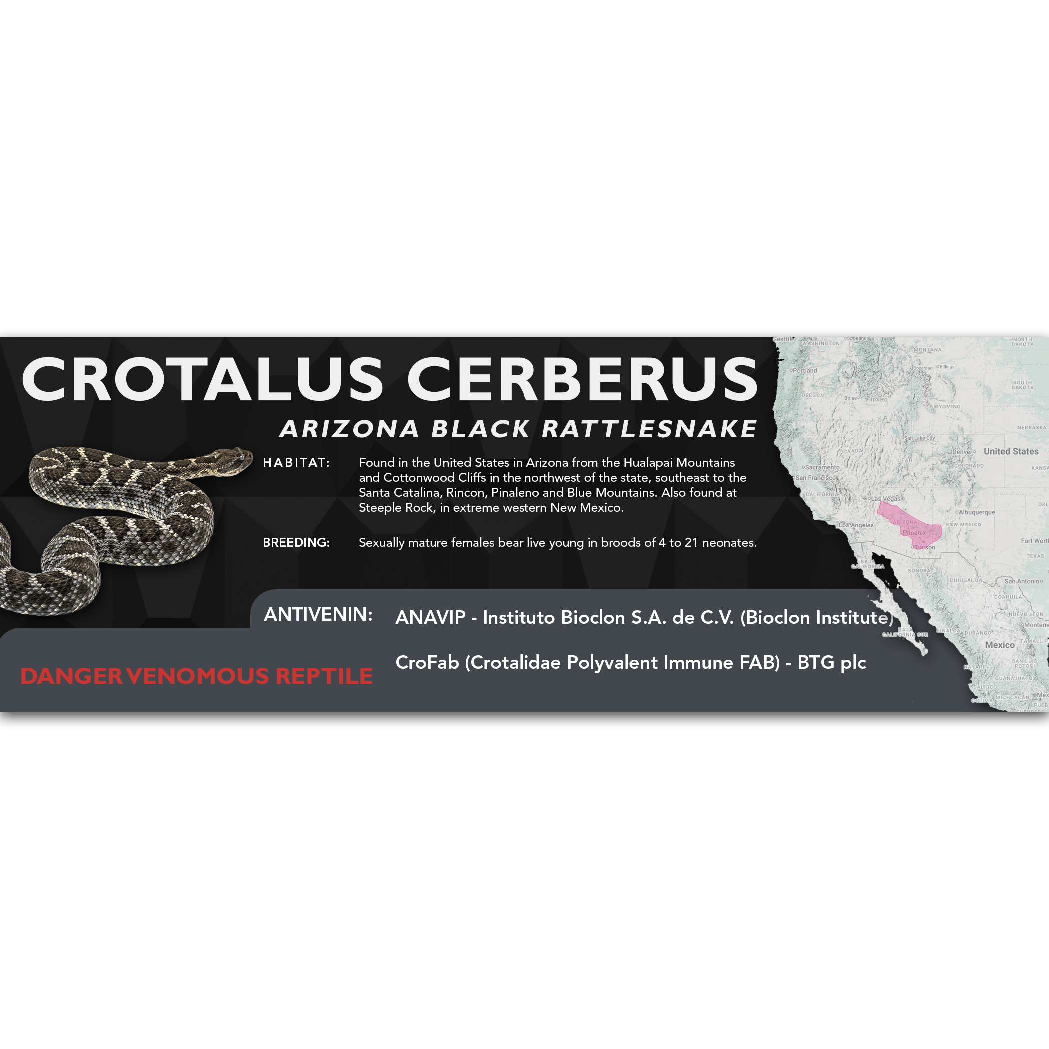 Arizona Black Rattlesnake (Crotalus cerberus) Classic Vivarium Label ...