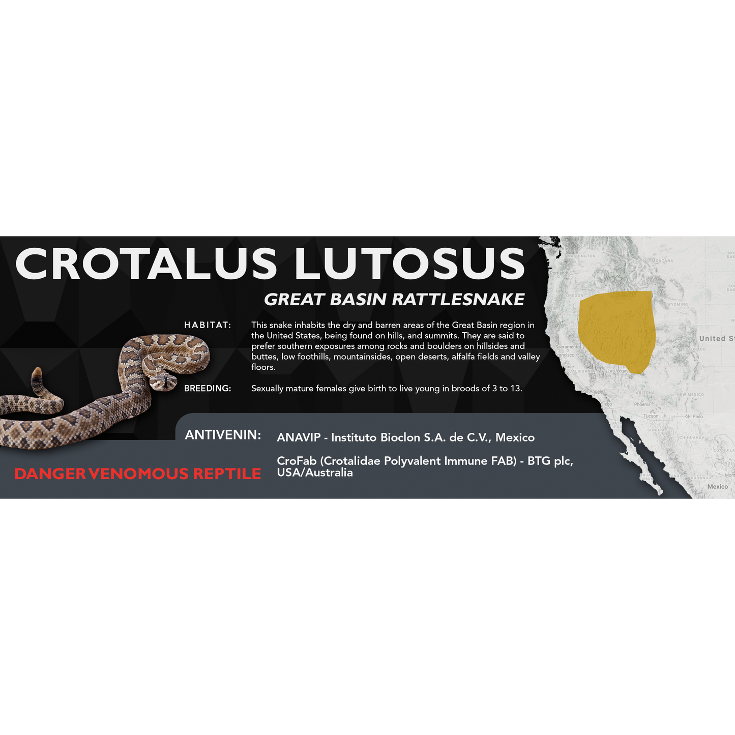 Great Basin Rattlesnake (Crotalus lutosus) Classic Vivarium Label