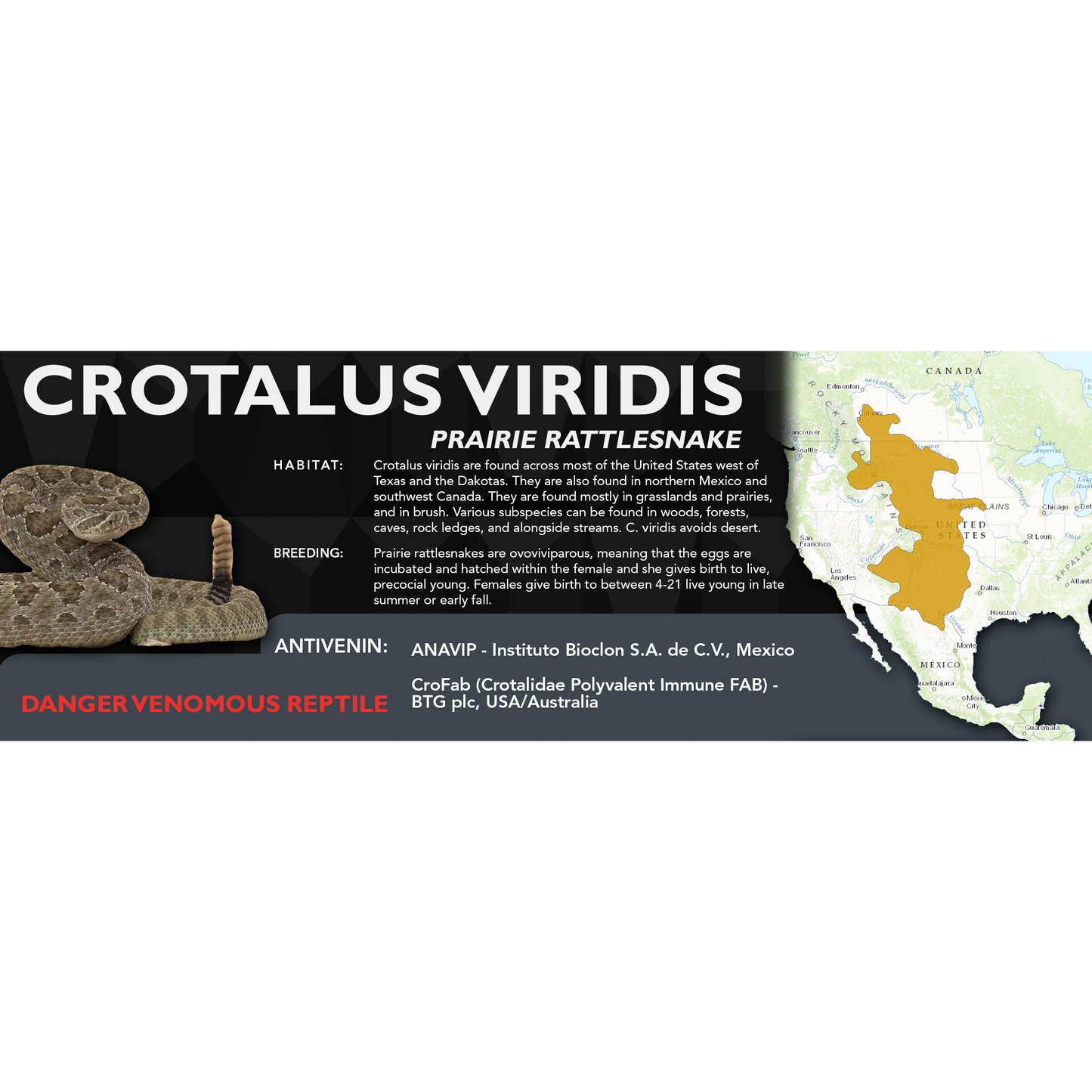 Prairie Rattlesnake (Crotalus viridis) Standard Vivarium Label