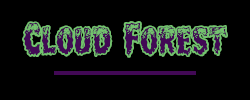 Cloud Forest Design