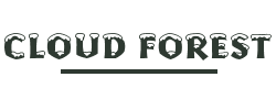 Cloud Forest Design