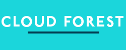 Cloud Forest Design