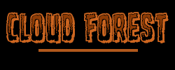 Cloud Forest Design