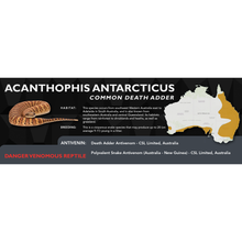 Load image into Gallery viewer, Common Death Adder (Acanthophis antarcticus) Standard Vivarium Label