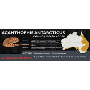 Common Death Adder (Acanthophis antarcticus) Standard Vivarium Label
