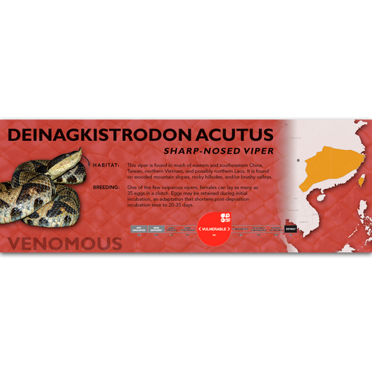 Sharp-Nosed Viper (Deinagkistrodon acutus) Classic Vivarium Label